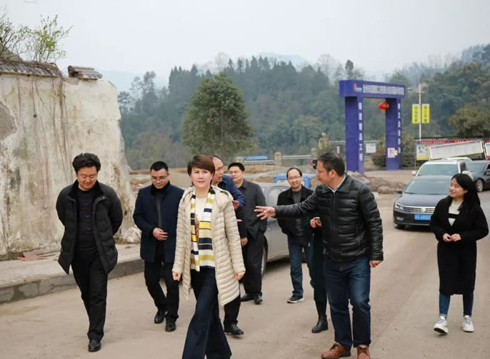 達(dá)州達(dá)川區(qū)委常委、宣傳部長(zhǎng)張?chǎng)握{(diào)研達(dá)州東辰國際學(xué)校項(xiàng)目建設(shè)情況