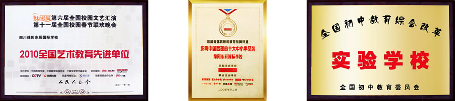 東辰教育集團(tuán)辦學(xué)榮譽(yù)