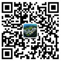 成都東辰外國語學(xué)校微信公眾號(hào)