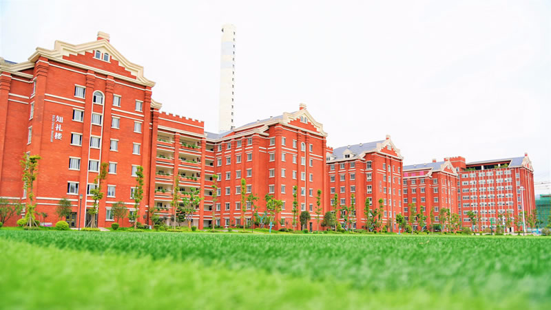 宜賓東辰國際學(xué)校圖片展示