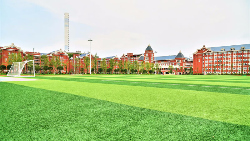 宜賓東辰國際學(xué)校圖片展示