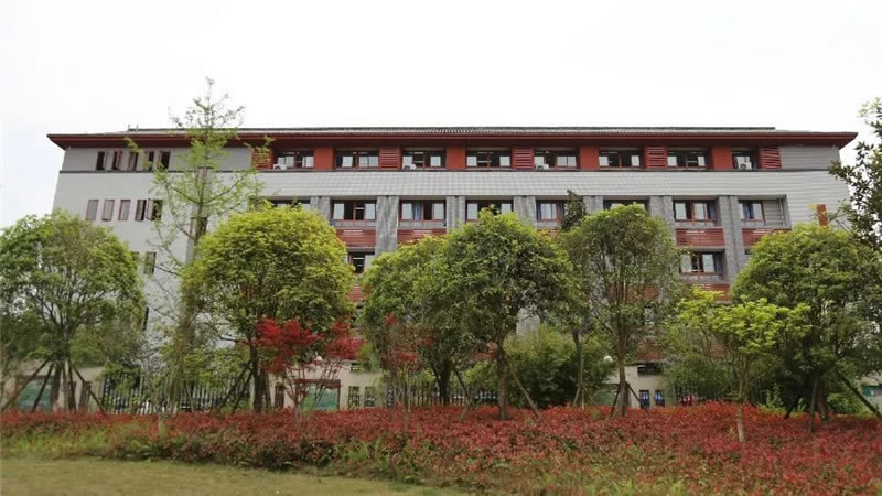 遂寧東辰榮興國際學校圖片展示