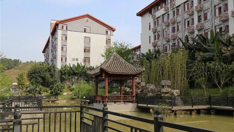 遂寧東辰榮興國際學校圖片展示