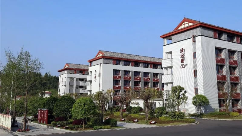 遂寧東辰榮興國際學校圖片展示