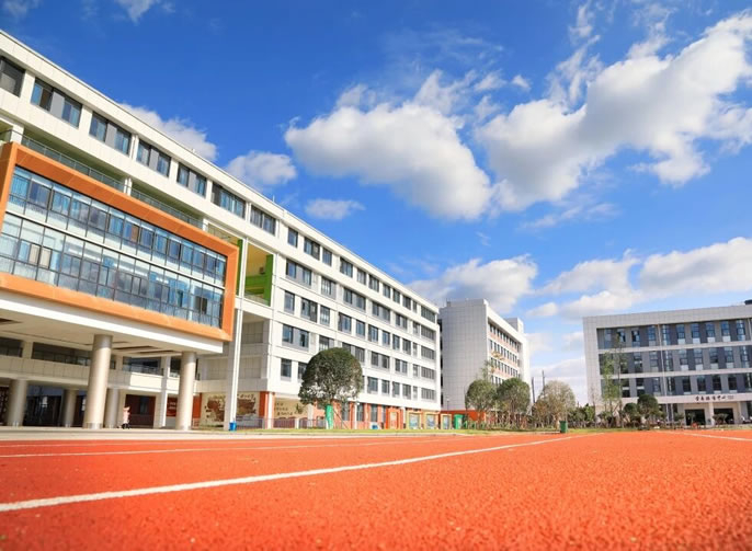 讓每顆星星都閃耀不一樣的光丨東辰教育優(yōu)質(zhì)教育模式巡禮系列①